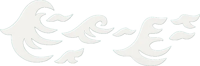 Ocean waves